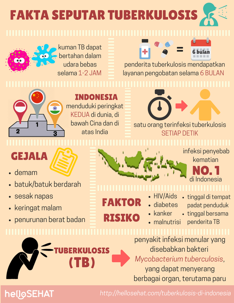 tuberkulose tuberkulose i Indonesia