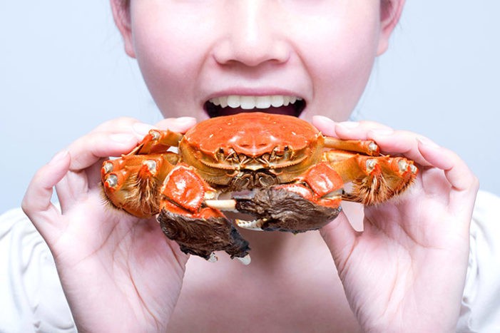 Spis krabbe når gravid