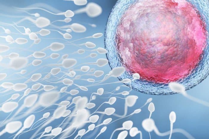 Spermanalyse er en mannlig fertilitetstest