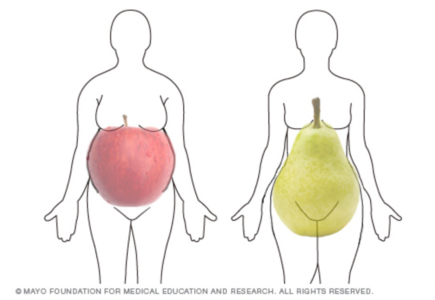 kroppsform av epler og pærer
