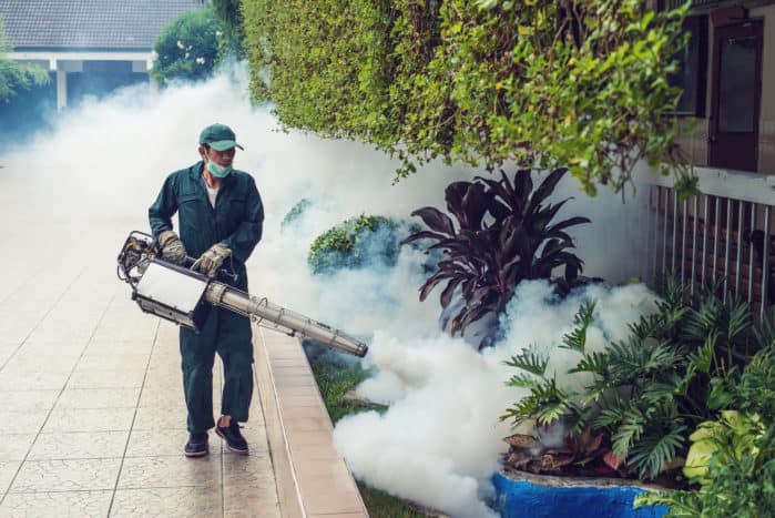 tåke gass i dengue mygg