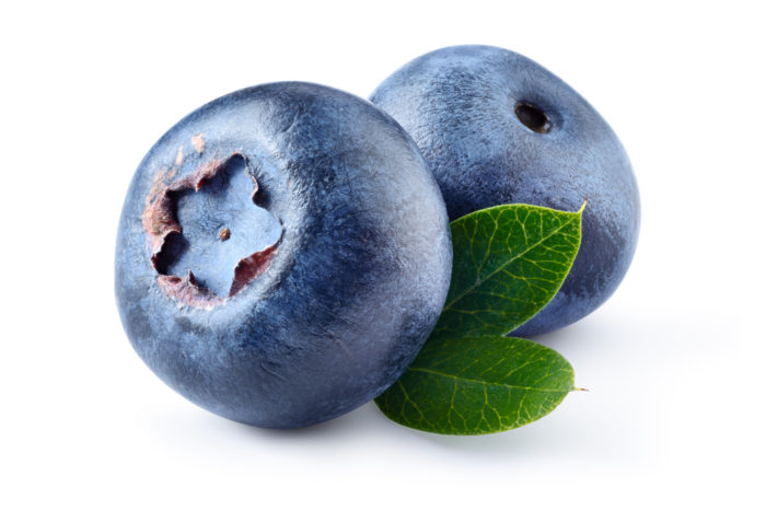 blåbær frukt