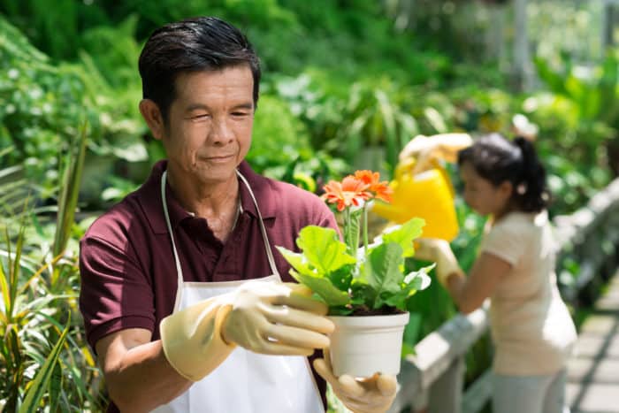 hvordan å forebygge ryggsmerter når hagearbeid