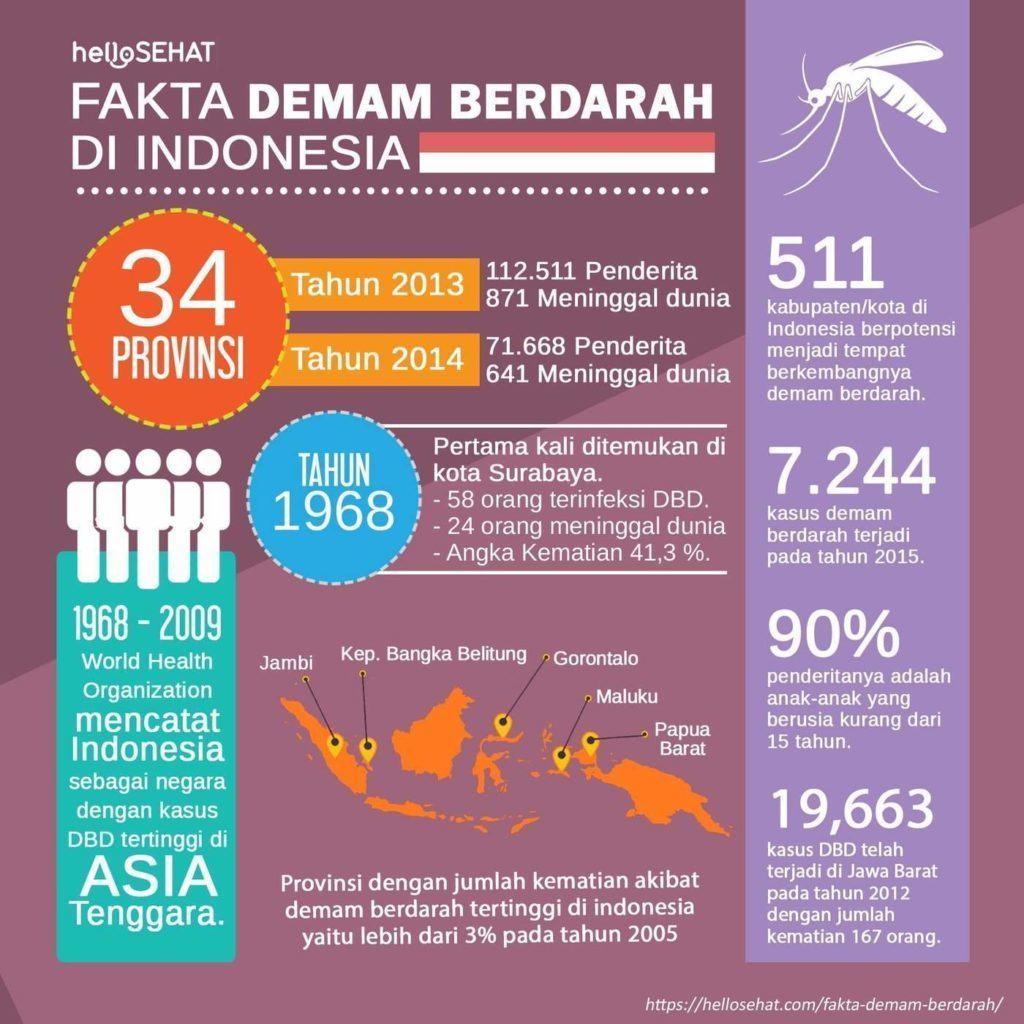 dengue fever hellosehat i Indonesia