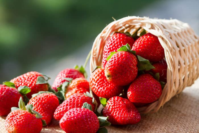 fordelene med jordbærfrukt